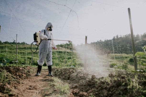 Best Pest Control Cost  in Suncook, NH