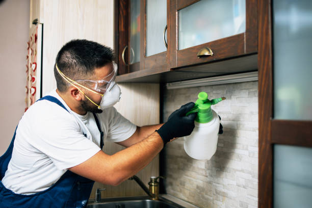 Best Best Pest Control Companies  in Suncook, NH