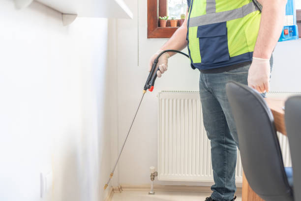 Best Affordable Pest Control Services  in Suncook, NH