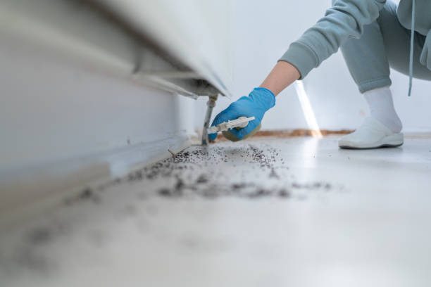 Pest Control Cost in Suncook, NH